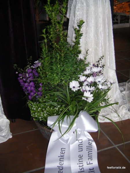 img1.jpg