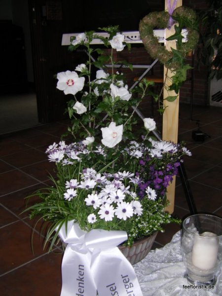 img3.jpg